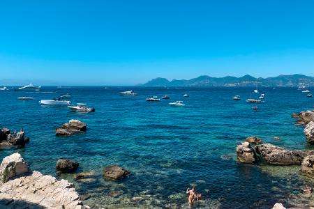 Visit the Lérins Islands during your stay at the Hotel des Orangers Cannes