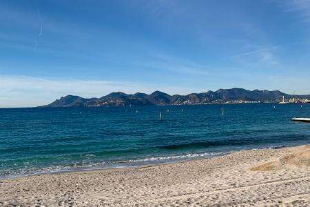 6 bonnes raisons de visiter Cannes en hiver